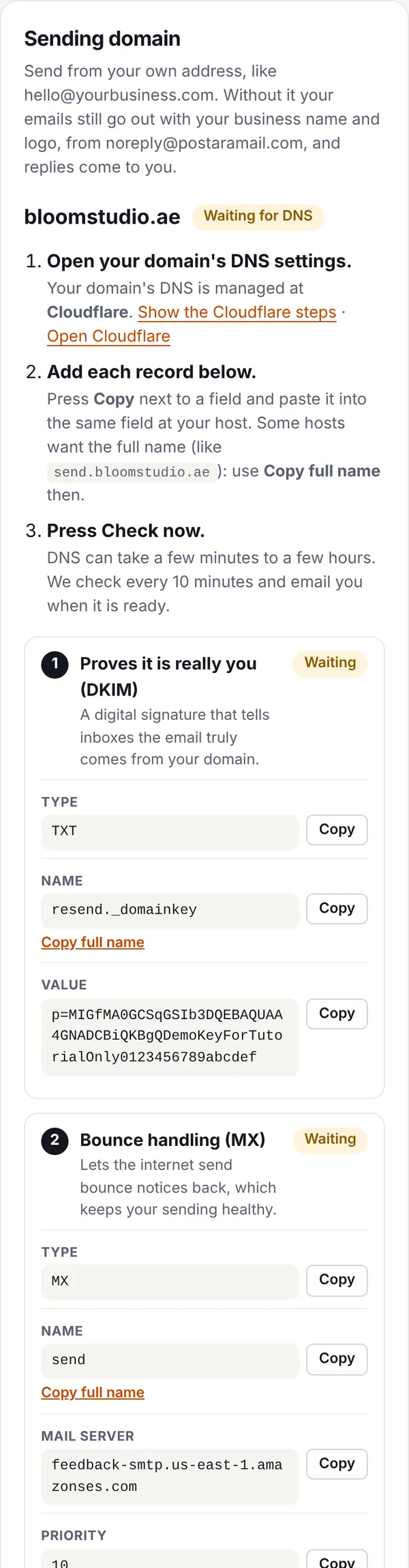 DNS record cards with a Copy button on every field
